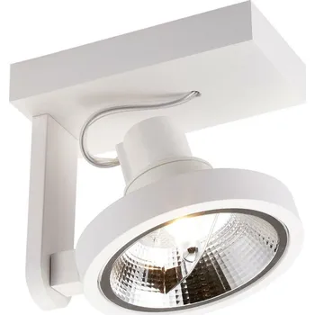 Bodové svítidlo ZUMALINE Bodové svítidlo MASTER 111 SL ACGU10-180-N