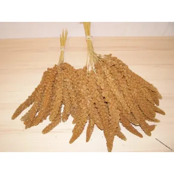 Krmivo pro ptáka LECODE H.K. INTLĹ Senegalské proso klasy červené 5 kg