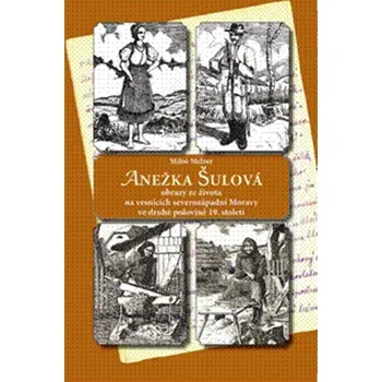 Umění Anežka Šulová