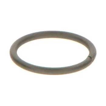 Těsnění motoru Těsnicí kroužek BOSCH F 00V C23 002
