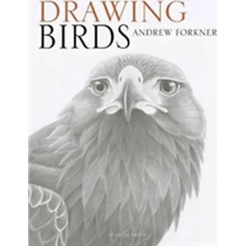 Umění Drawing Birds - Forkner, Andrew