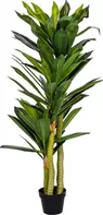 Plantasia Dracena v květináči 120 cm zelená