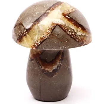 Drahý kámen Magieprirody.cz Houba z kamene Septárie 80 mm - 279 g #C7