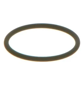 Těsnění motoru Těsnicí kroužek BOSCH F 00V C38 002