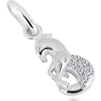 Přívěsek Stříbrný 925 přívěsek, zářivé zirkony, znamení zvěrokruhu - KOZOROH