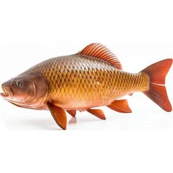 Jedlá dekorace na dort Jedlý papír kapr 19,5cm - PICTURE