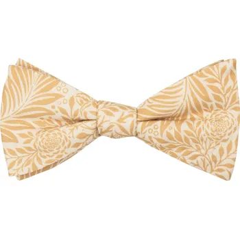 Motýlek Bubibubi Žlutý motýlek Aurora