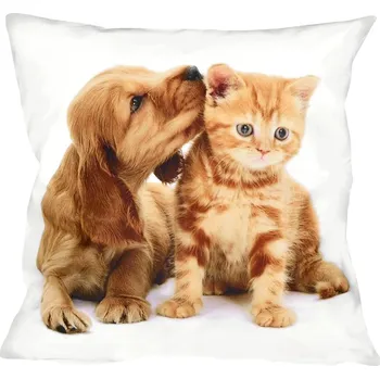 Polštář Fotonávlek, Štěně a mourek, 40 x 40 cm