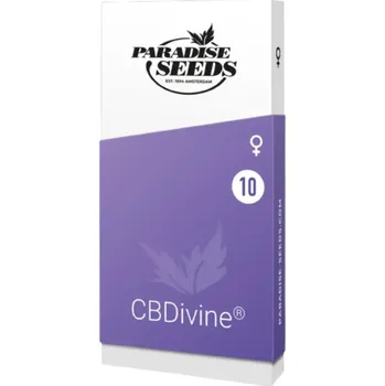 Semeno Divine CBD – feminizovaná semena | Paradise Seeds Feminized (Ks): 3