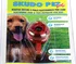 Antiparazitikum pro psa Olan Tech Skudo Pet Dog elektronický antiparazitní přívěsek červený