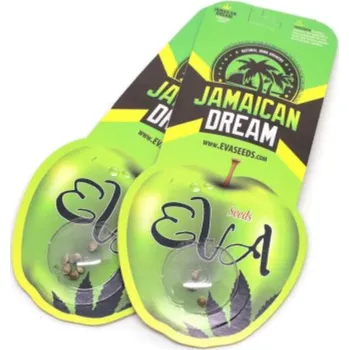 Semeno Jamaican Dream CBD – feminizovaná semena | Eva Seeds Feminized (Ks): 3 + 1 Zdarma