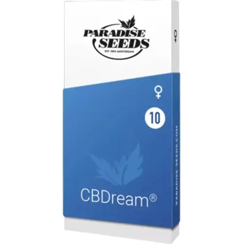 Semeno Dream CBD – feminizovaná semena | Paradise Seeds Feminized (Ks): 3
