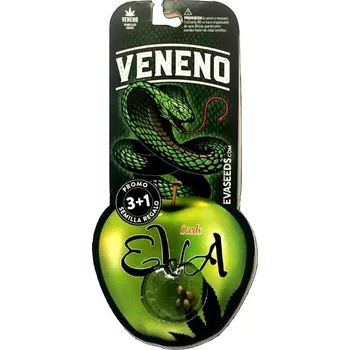 Semeno Veneno – feminizovaná semena | Eva Seeds Feminized (Ks): 3 + 1 Zdarma