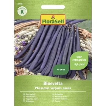 Semeno Fazole keříčková Bluevetta FloraSelf