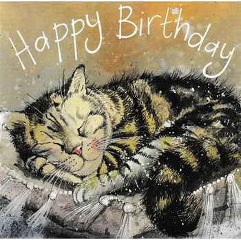 Přání v obálce Sleep tight, ALEX CLARK, 14*14 cm (Přání s kočkou, kočka)