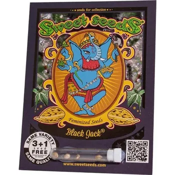 Semeno Black Jack® – feminizovaná semena | Sweet Seeds Feminized (Ks): 3 + 1 Zdarma