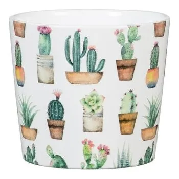 Obal 870 Cactus Garden 09