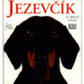 Obrázek k inzerátu: Jezevčík (Bruce Fogle)