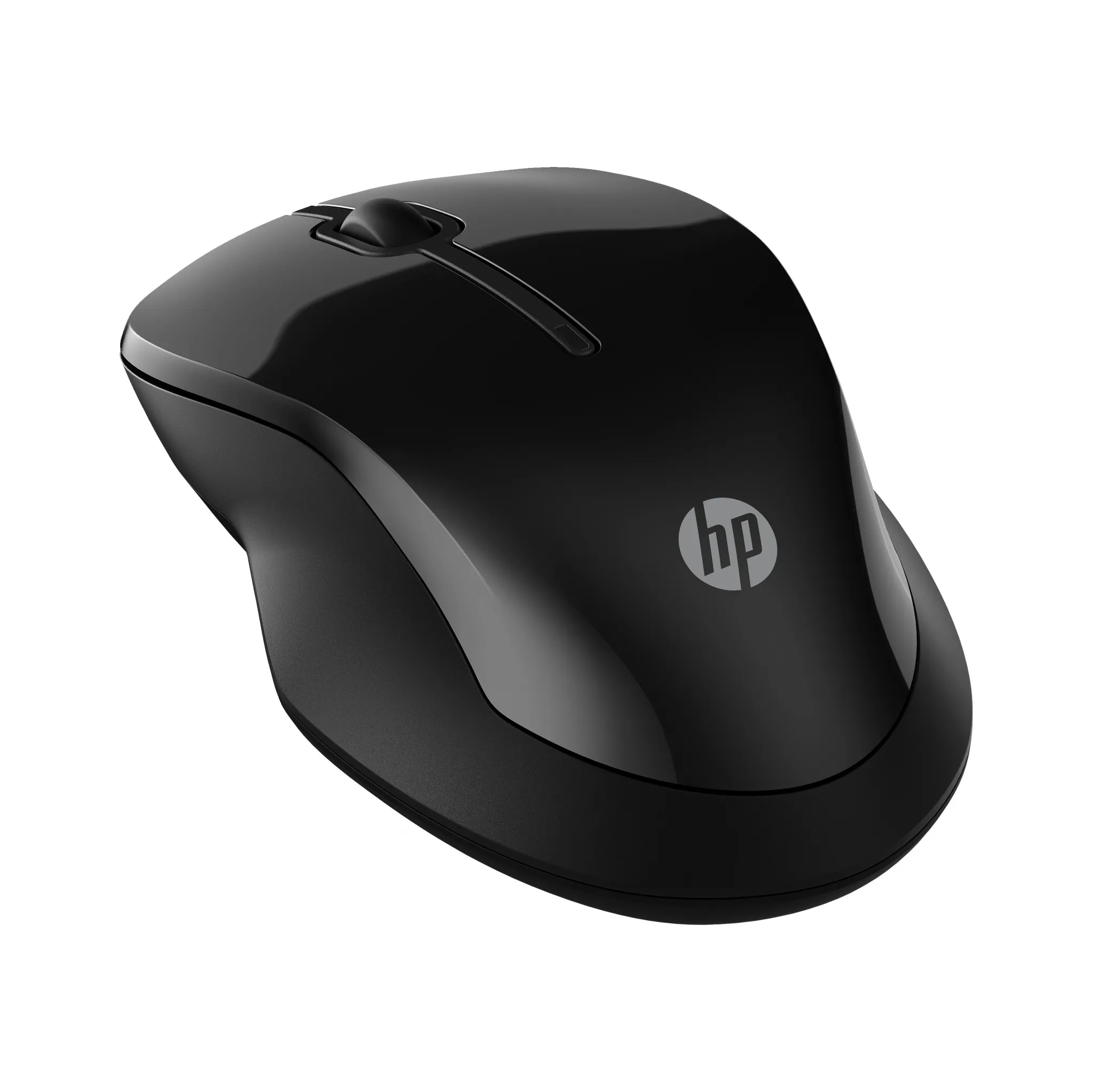 Fotografie 2 - Myš HP 250 Dual Mouse