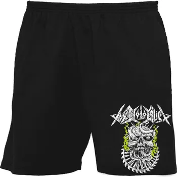 Pánské kraťasy bermudy, kraťasy Toxic Holocaust - skull