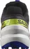 Pánská běžecká obuv Salomon Speedcross 6 GTX L47202300