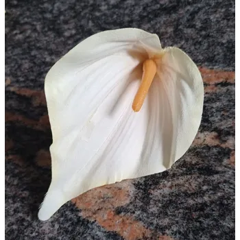 umělá květina Květ kala 12 cm krémová č.8