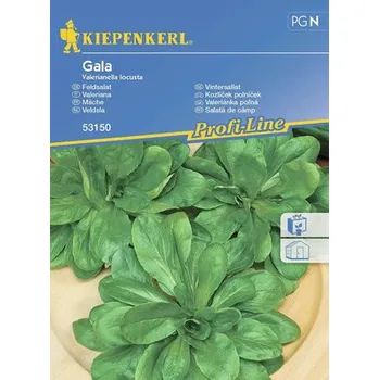 Semeno Salát salátový Gala Kiepenkerl Osivo salátu odolné proti osetí pro cca 5 běžných metrů zimní zeleniny