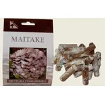 Planto Meitake trsnatec lupenitý 20 ks