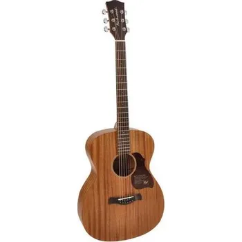 Akustická kytara Richwood All Solid Master Series A-250, Akustická kytara auditorium