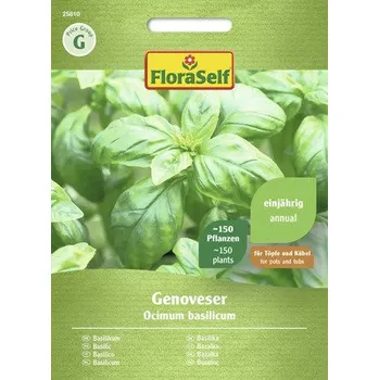 Semeno Bazalka Genovese FloraSelf