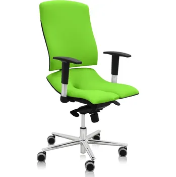 Zdravotní židle Steel Standard+, zelená