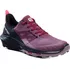 Dámská treková obuv Salomon Outpulse GTX L41689700
