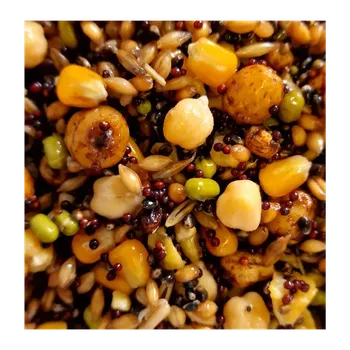 Návnadová surovina Super partikl mix 3kg (Partiklová bomba! 10 druhů semen)