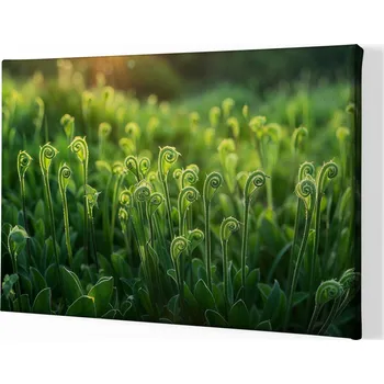 Obraz Obraz na plátně - Když se příroda vykrůcá FeelHappy.cz Velikost obrazu (šířka x výška): 60 x 40 cm