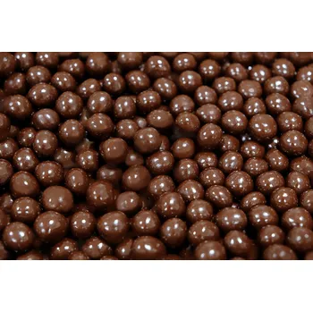 Lískové ořechy v mléčné čokoládě 500 g Les Fruits du Paradis