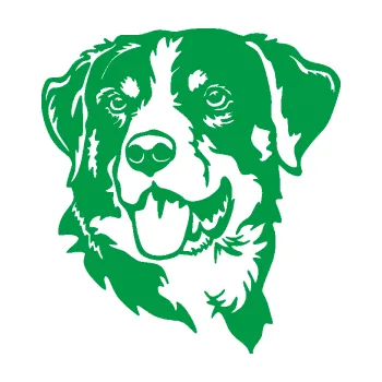 Polep vozidla Pes 197 levá Appenzellský salašnický pes (12 - zelená) SAMOLEPKA NA AUTO, NÁLEPKA, FÓLIE, POLEP, TUNING, VLASTNÍ TEXT, TISK, AUTOSAMOLEPKY.cz, POLEPY, OBRÁZEK, LOGO, 3D STICKERS