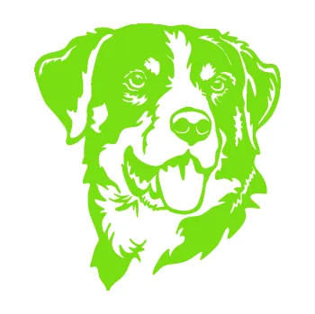 Polep vozidla Pes 197 pravá Appenzellský salašnický pes (04 - zelená kawasaki) SAMOLEPKA NA AUTO, NÁLEPKA, FÓLIE, POLEP, TUNING, VLASTNÍ TEXT, TISK, AUTOSAMOLEPKY.cz, POLEPY, OBRÁZEK, LOGO, 3D STICKERS