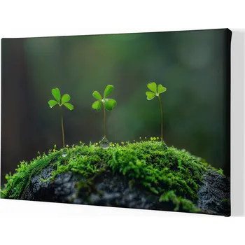 Obraz Obraz na plátně - Tři kamarádi na mechovém kameni FeelHappy.cz Velikost obrazu: 40 x 30 cm