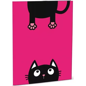 desky na sešit Desky na abecedu Crazy Kitten