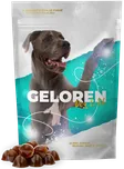 Contipro Geloren Dog L/XL