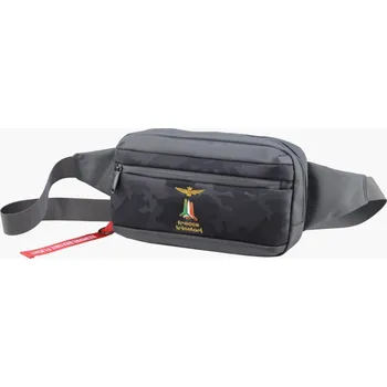 Ledvinka Ledvinka cross Aeronautica Militare Drone AM-522-23