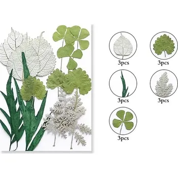 PourArt Sušené květiny SADA JS48 arch 145x105mm