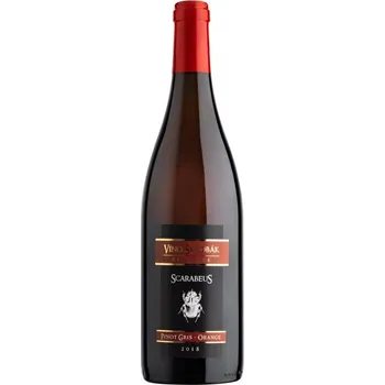 Víno Škrobák Scarabeus Pinot Gris Orange 2018