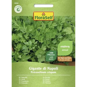 Semeno Petržel naťová Gigante di Napoli FloraSelf