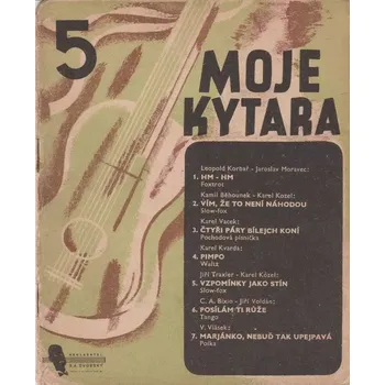 Hudební nástroj pro děti Moje kytara 5