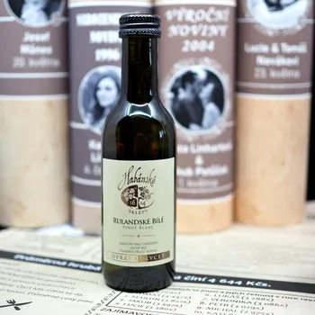 Víno Doplňky k novinám v tubusu Rulandské bílé suché víno 0,187 l