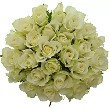 umělá květina Kytice 25 bílých růží ATHENA 50cm