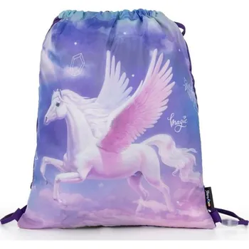 Školní sáček Sáček na cvičky, Pegas