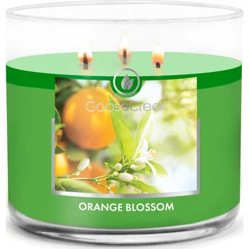 Svíčka Goose Creek Candle svíčka Orange Blossom, 411 g