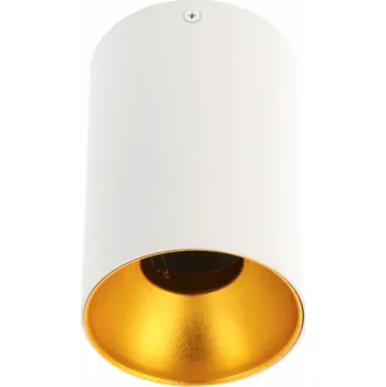 Stropní svítidlo TENSA, hliník, 96x140, IP20, GU10, kruhové, bílé